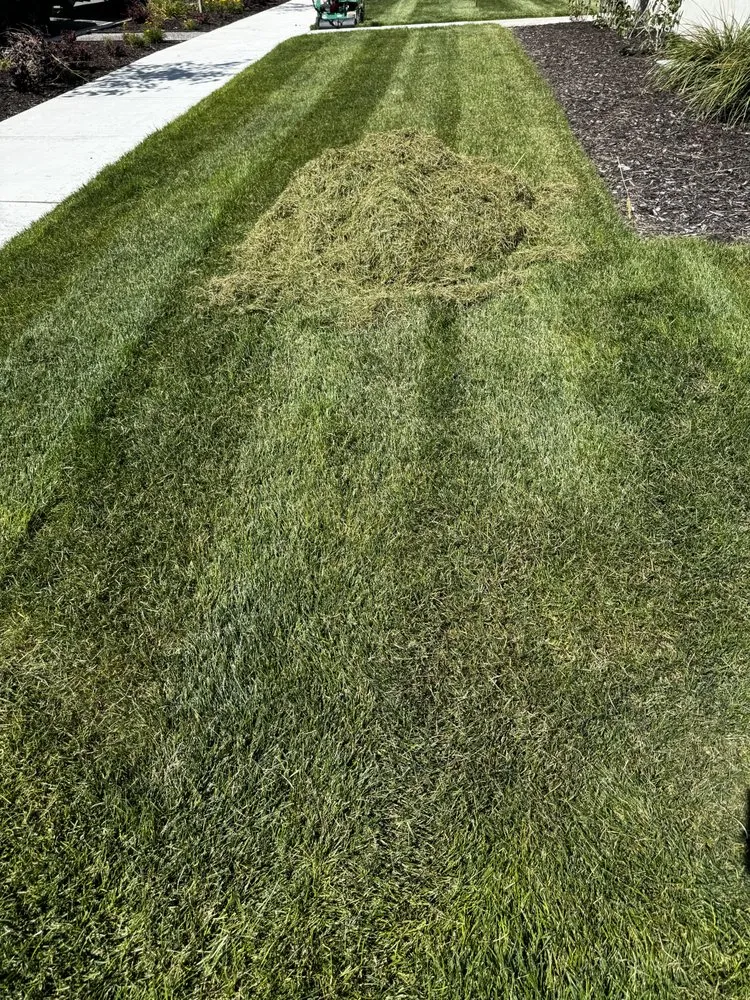 Expert garden landscaping in Lindon, UT - Aerate & Dethatch