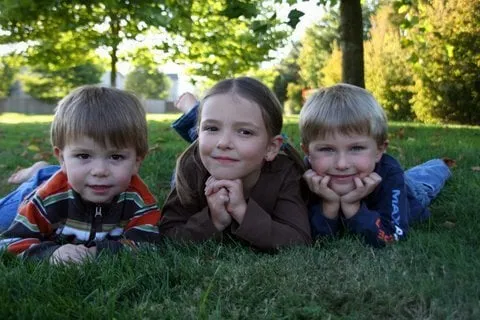 Reliable lawn mowing service with custom design in Sacramento, CA by Aeration & Dethatching By Dreamscapes