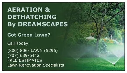 Affordable lawn mowing service experts serving Sacramento, CA - Aeration & Dethatching By Dreamscapes