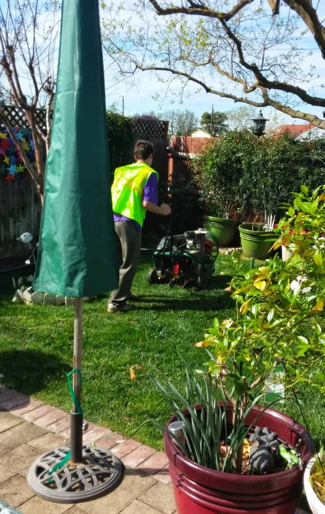 Affordable landscaping services for year-round maintenance in Sacramento, CA by Aeration & Dethatching By Dreamscapes