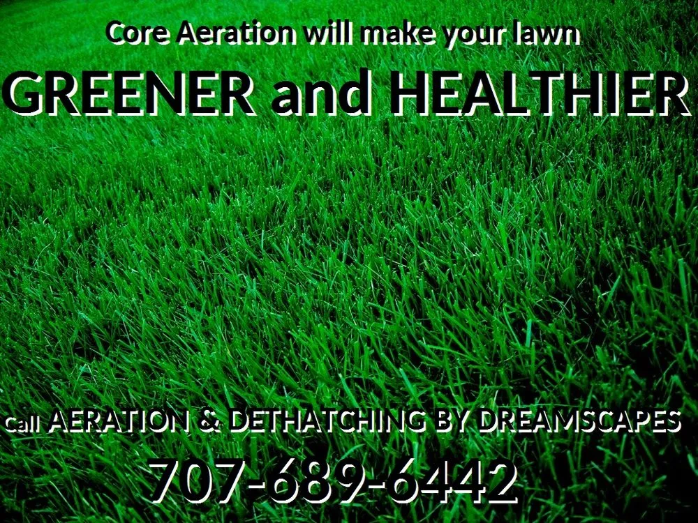 Affordable lawn mowing service in Sacramento, CA - Aeration & Dethatching By Dreamscapes