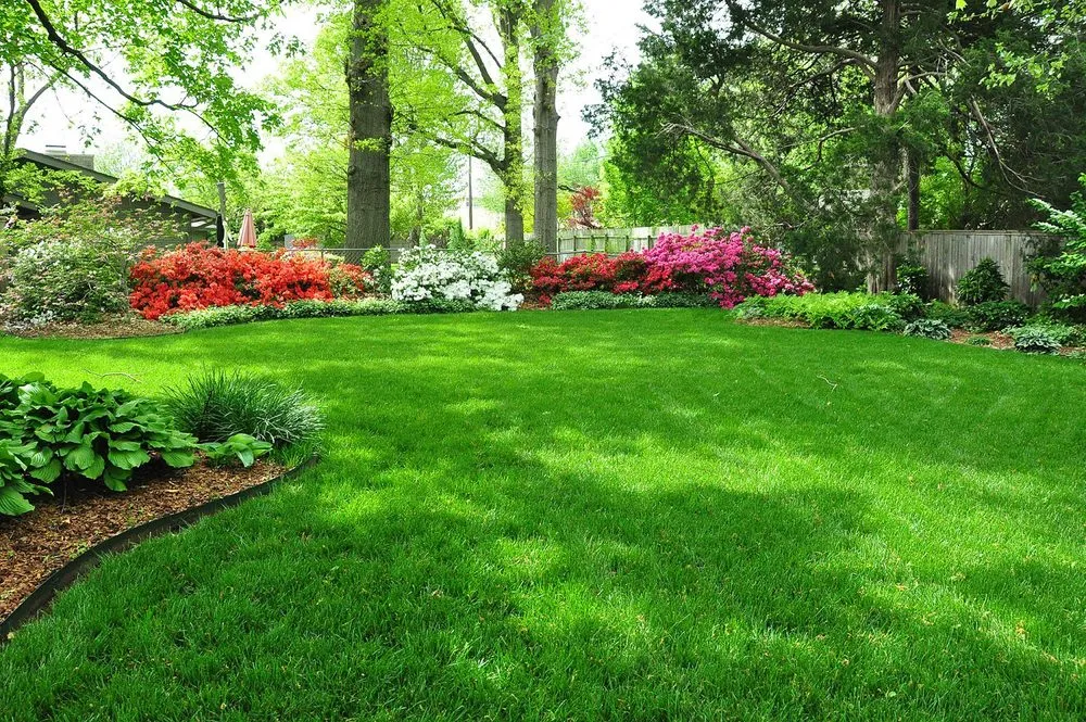 Professional lawn care service for outdoor upgrades across Sacramento, CA - Aeration & Dethatching By Dreamscapes