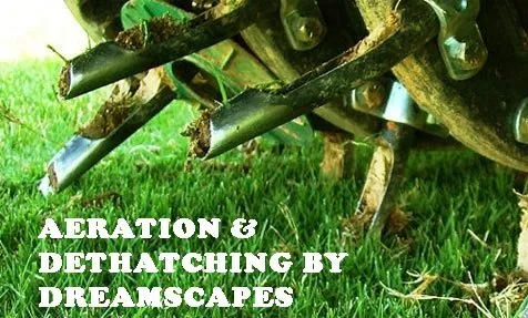 Top-rated landscaping services experts serving Sacramento, CA - Aeration & Dethatching By Dreamscapes