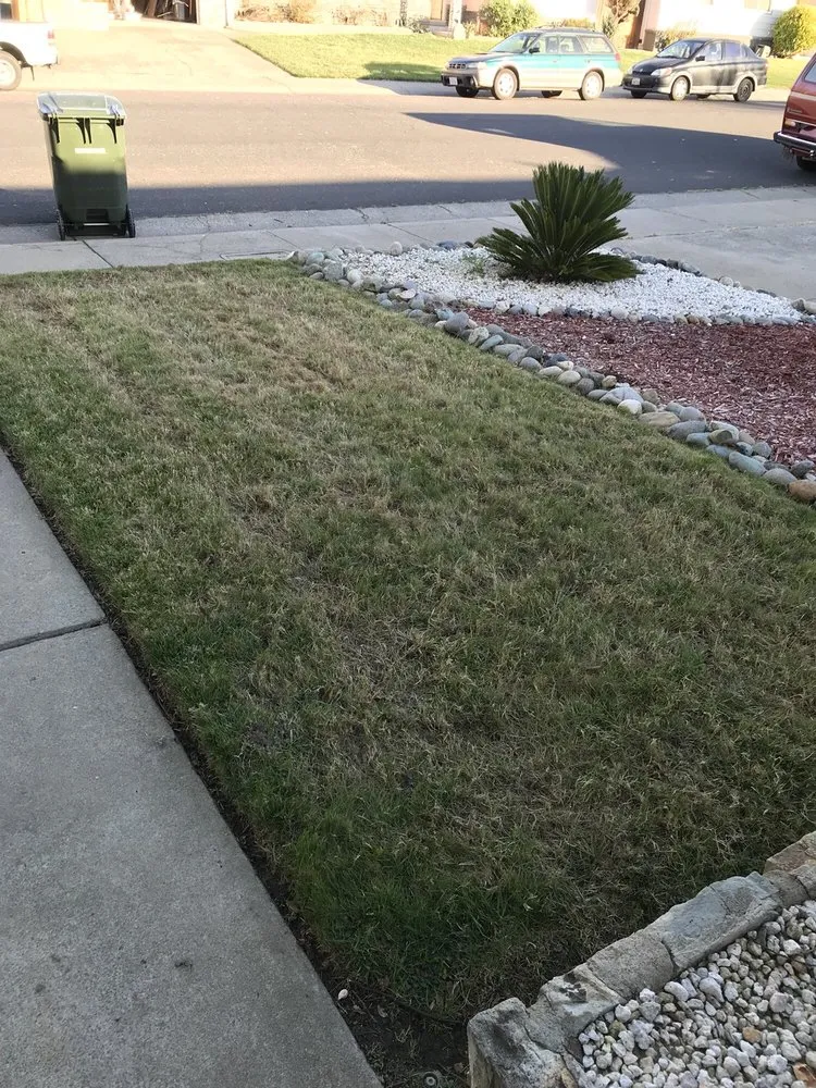 Reliable residential landscaping in Sacramento, CA - Aeration & Dethatching By Dreamscapes