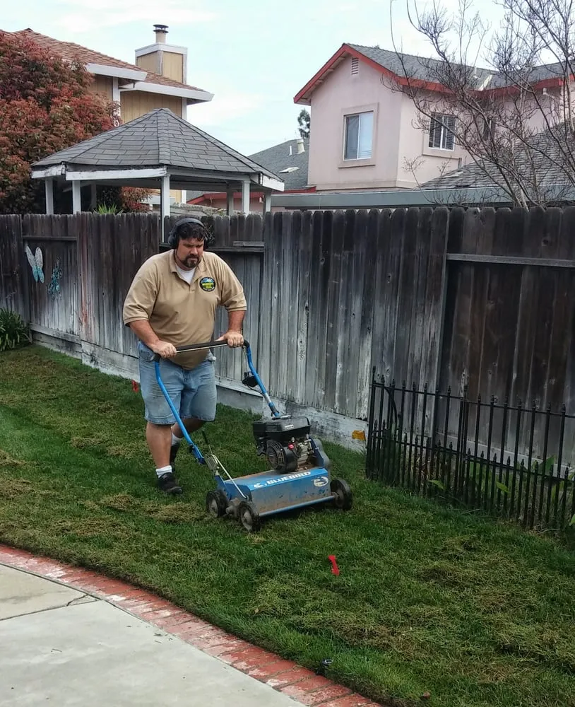 Top-rated yard cleanup service for outdoor upgrades across Sacramento, CA - Aeration & Dethatching By Dreamscapes
