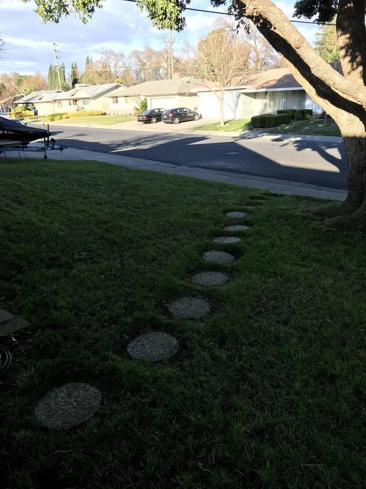 Expert yard maintenance with custom design in Sacramento, CA by Aeration & Dethatching By Dreamscapes