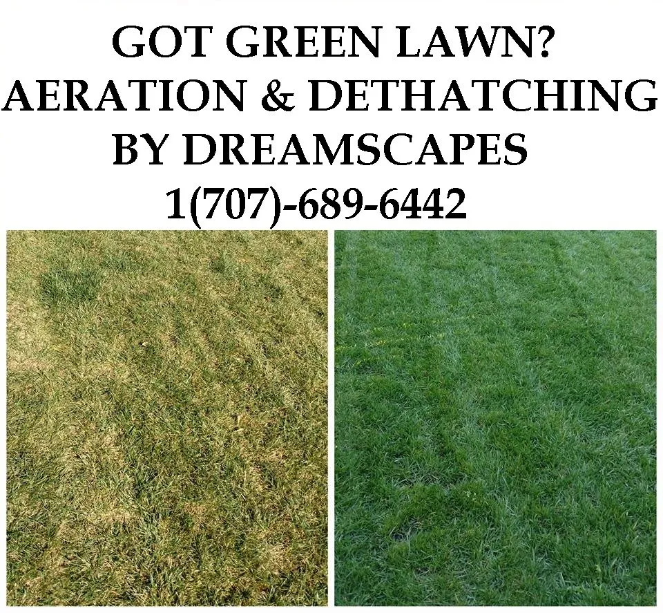 Top-rated yard cleanup service in Sacramento, CA by Aeration & Dethatching By Dreamscapes