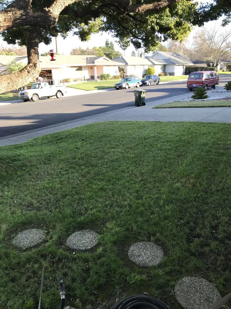 Top-rated lawn mowing service in Sacramento, CA - Aeration & Dethatching By Dreamscapes