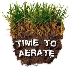 Affordable lawn care service in Sacramento, CA by Aeration & Dethatching By Dreamscapes