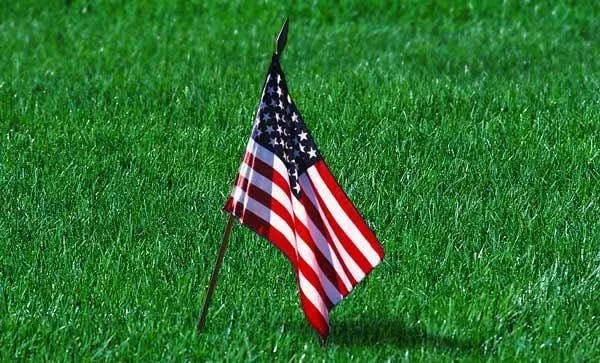 Reliable residential landscaping experts serving Sacramento, CA - Aeration & Dethatching By Dreamscapes