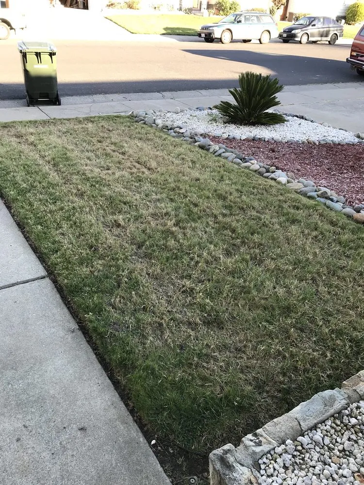 Professional lawn mowing service in Sacramento, CA - Aeration & Dethatching By Dreamscapes