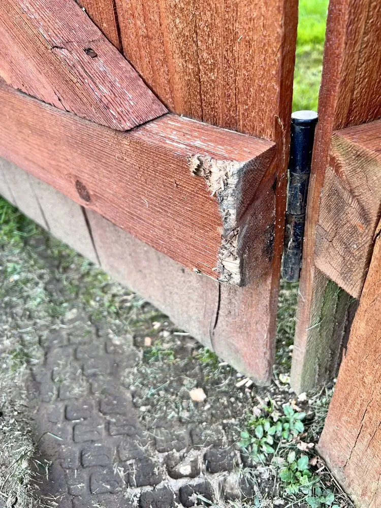 Professional lawn care service in Greenwood, IN by Aeration Guy