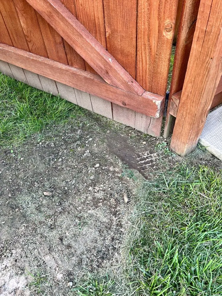 Expert outdoor landscaping experts serving Greenwood, IN - Aeration Guy