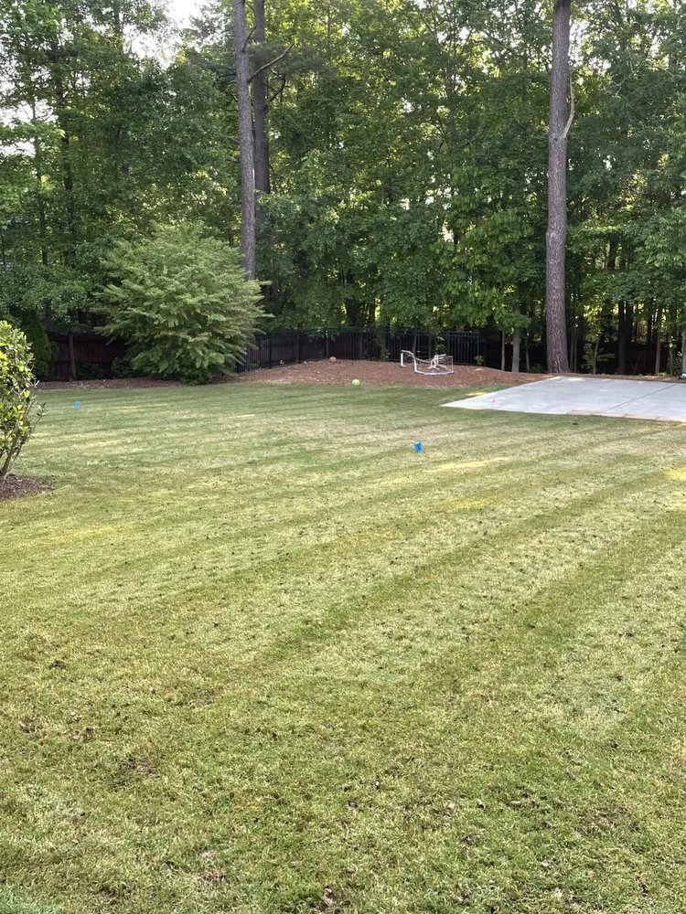 Trusted landscaping services experts serving Smithfield, NC - Aeration