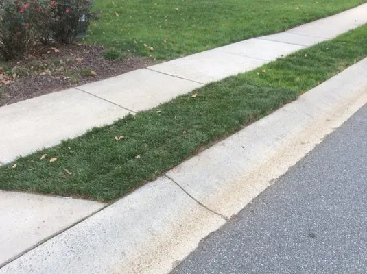 Aeration Station Lawncare Logo