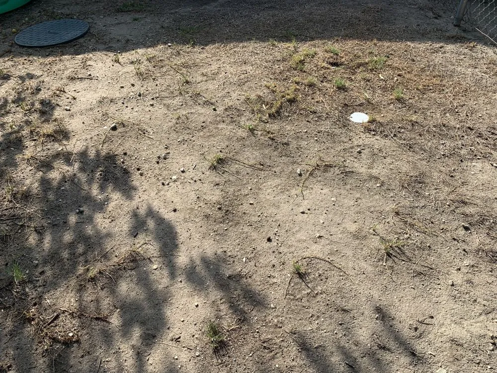 Affordable residential landscaping near you in Los Angeles, CA by Aerations Plus