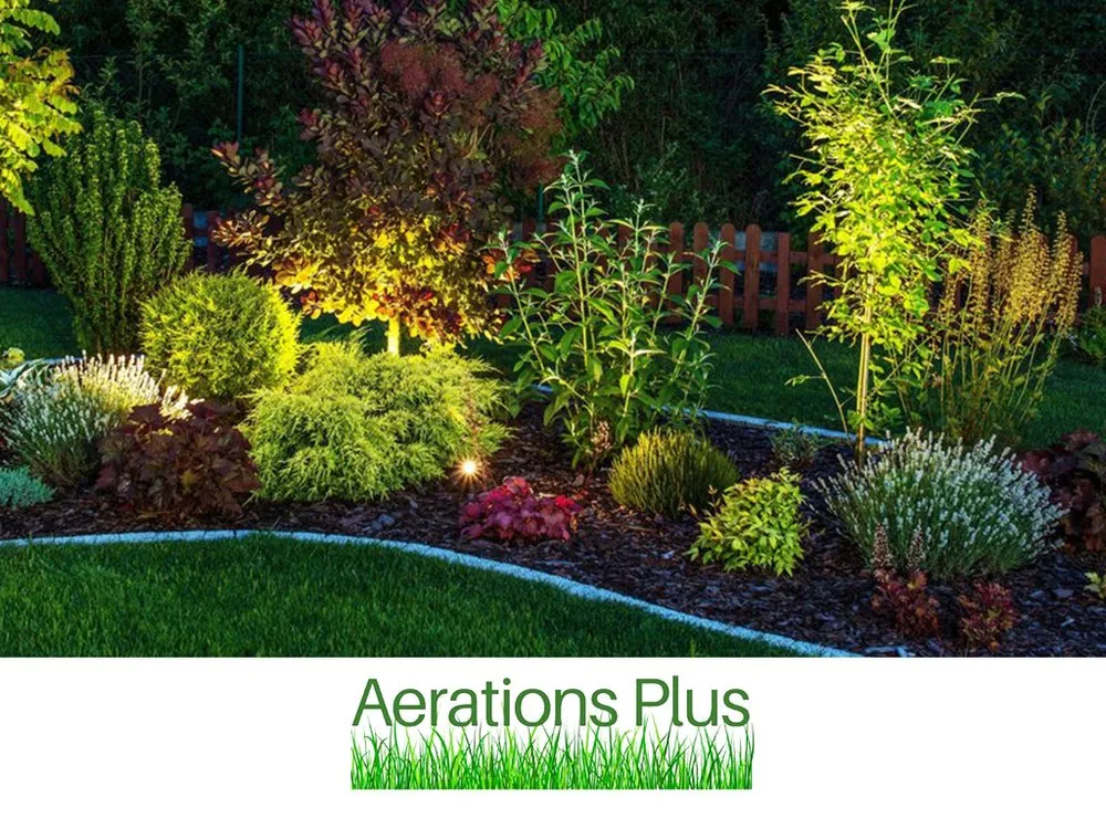Trusted yard maintenance for homes in Los Angeles, CA by Aerations Plus