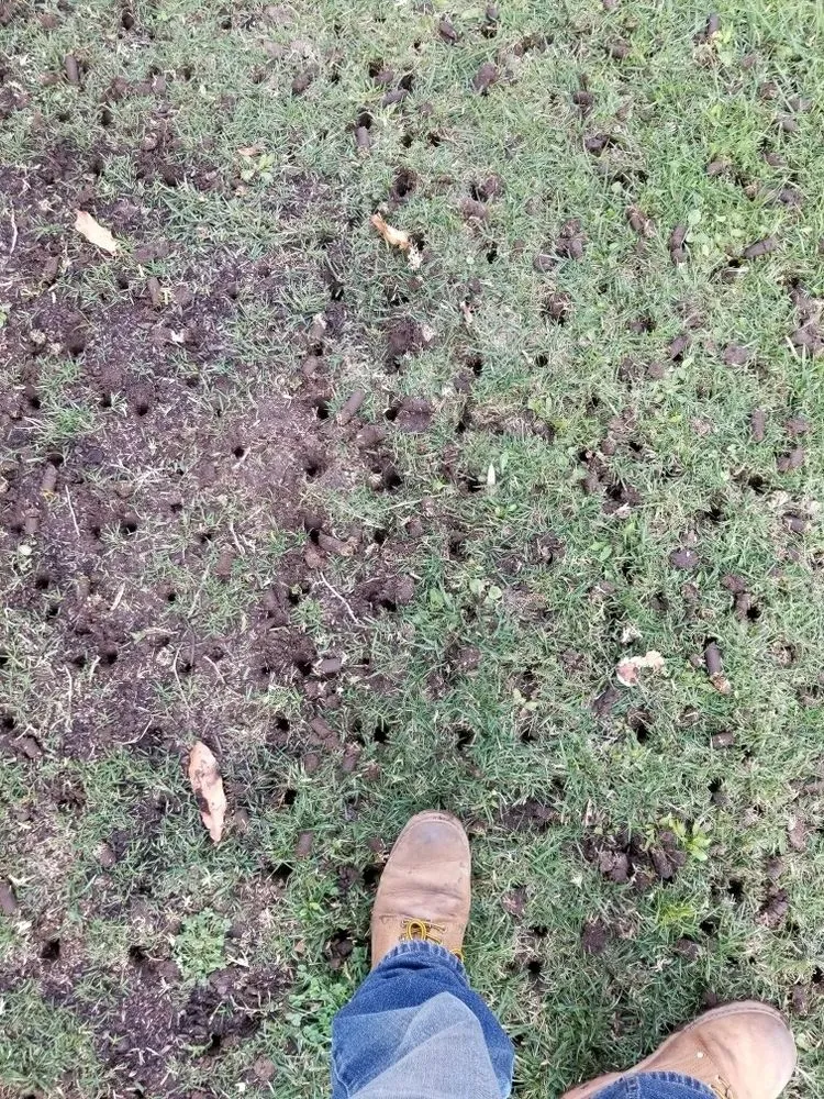 Reliable residential landscaping experts serving Los Angeles, CA - Aerations Plus