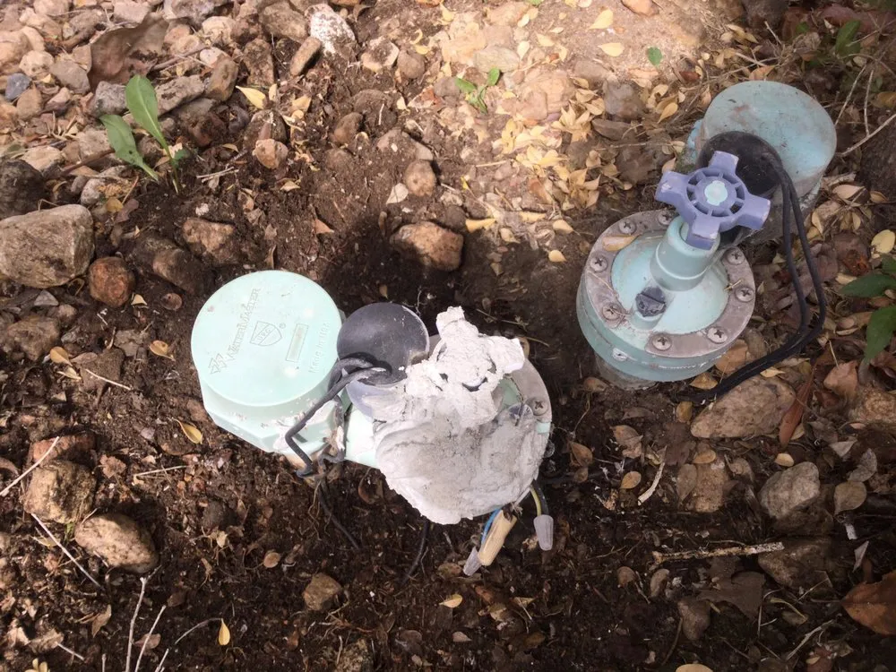 Professional yard maintenance in Los Angeles, CA by Aerations Plus