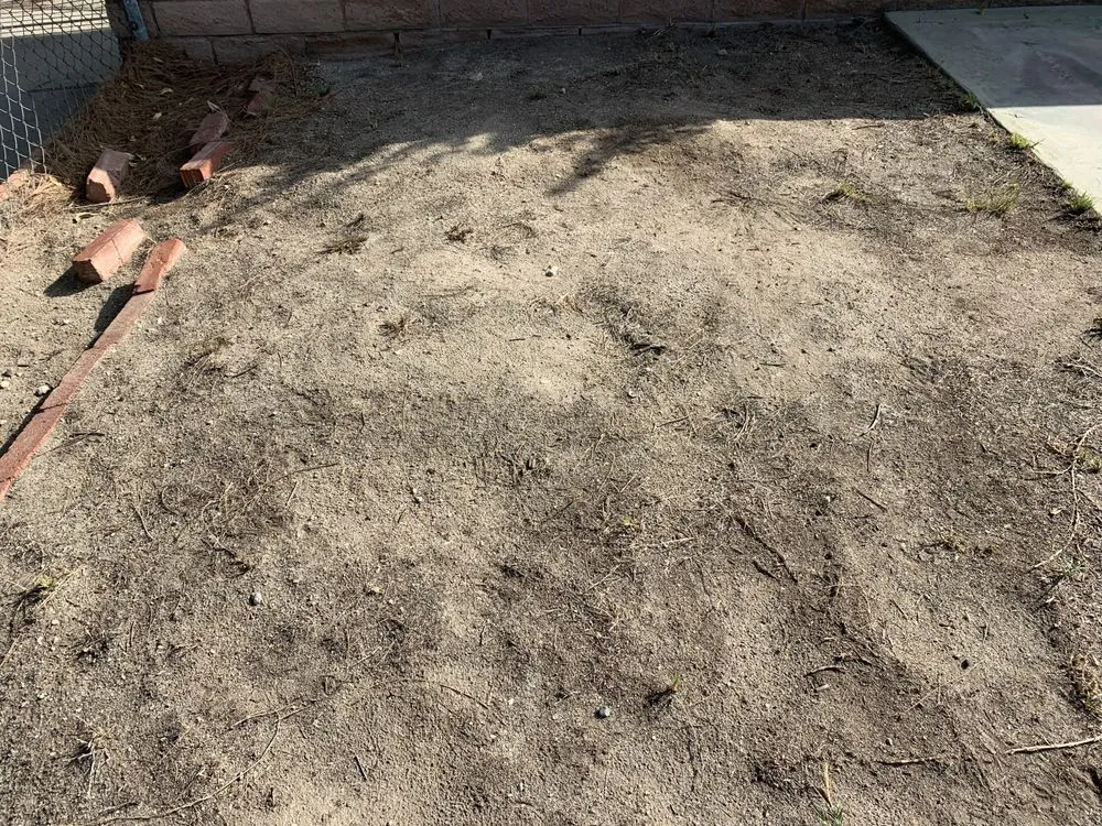 Top-rated outdoor landscaping for year-round maintenance across Los Angeles, CA - Aerations Plus