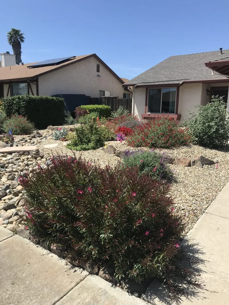 Trusted garden landscaping with custom design across Pittsburg, CA - Aeratorman
