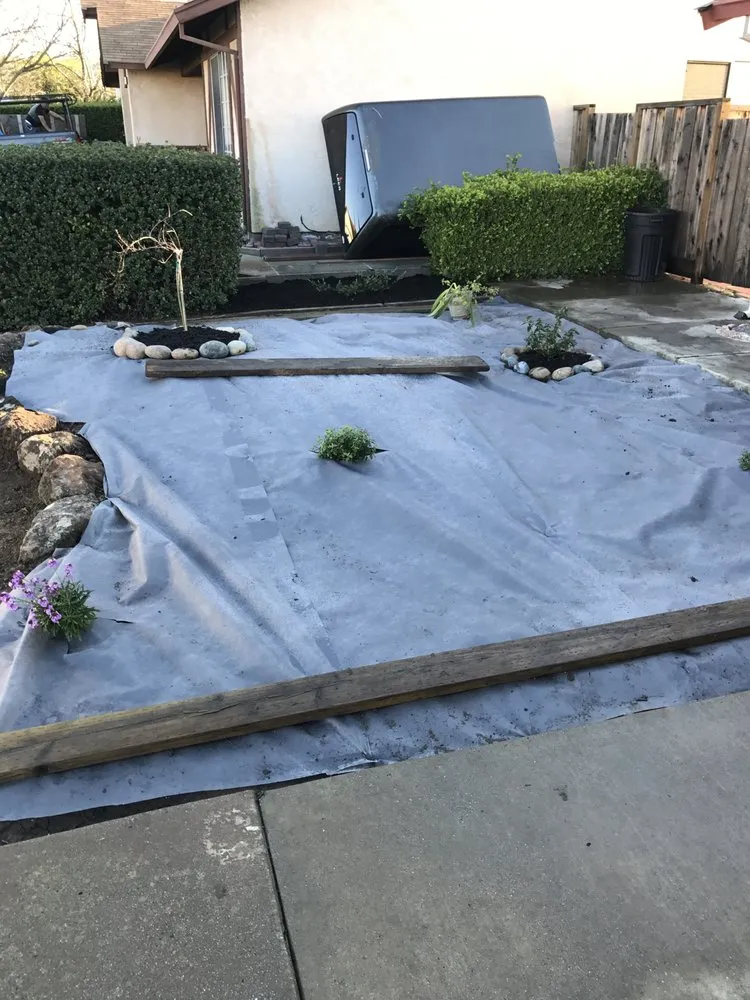 Expert yard maintenance in Pittsburg, CA by Aeratorman