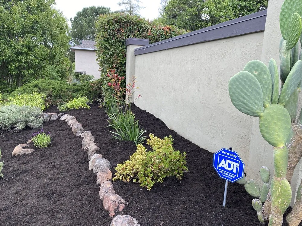 Professional yard cleanup service in Pittsburg, CA by Aeratorman