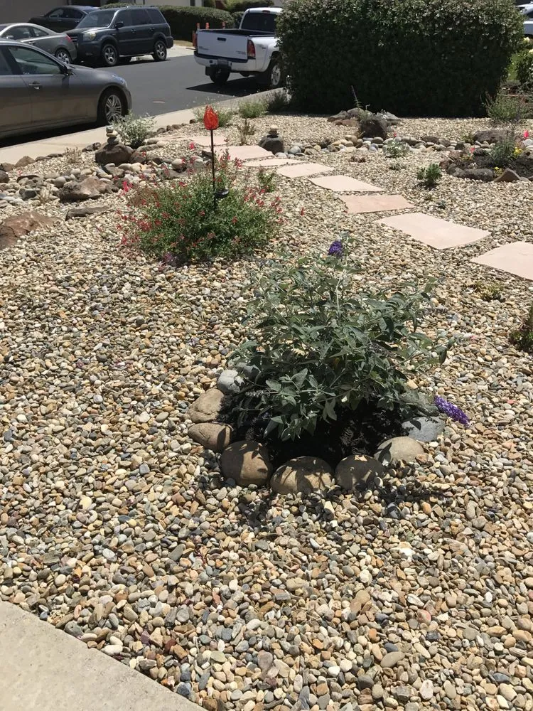 Expert lawn mowing service in Pittsburg, CA by Aeratorman