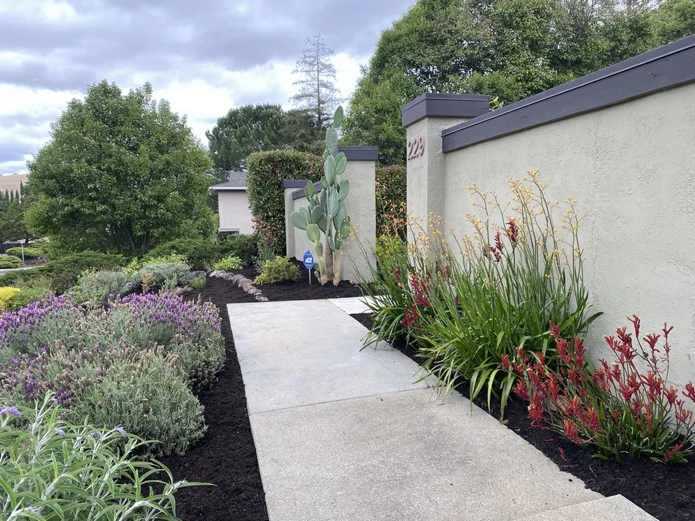 Professional residential landscaping for outdoor upgrades across Pittsburg, CA - Aeratorman