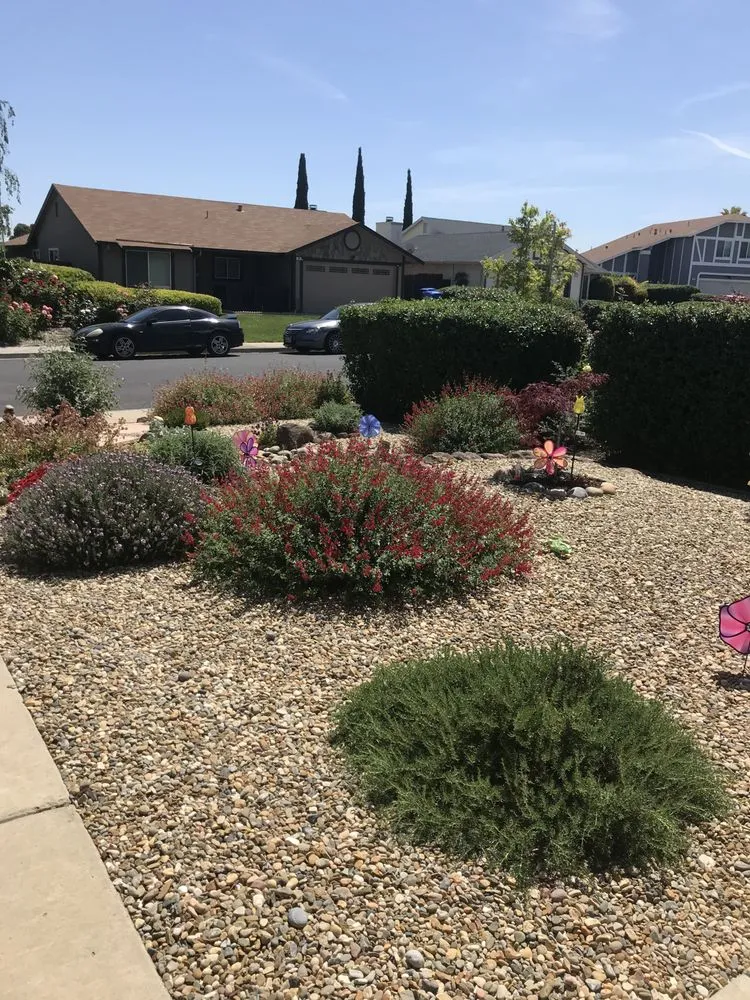 Top-rated residential landscaping in Pittsburg, CA - Aeratorman
