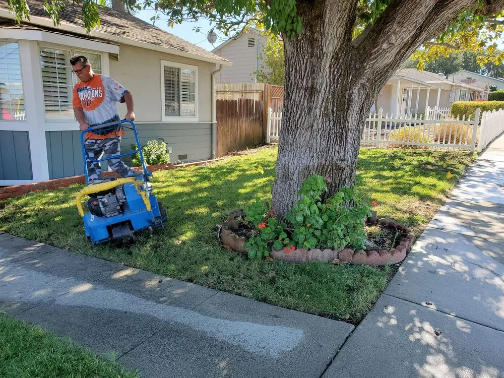 Custom landscaping services with custom design in Pittsburg, CA by Aeratorman