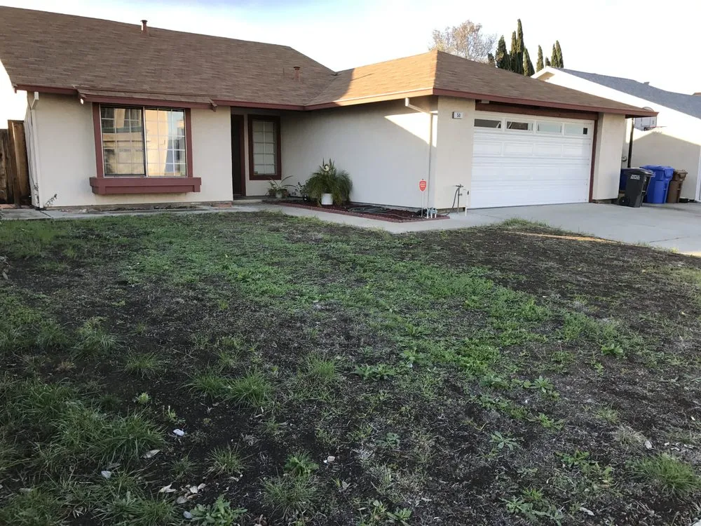 Top-rated lawn care service for outdoor upgrades across Pittsburg, CA - Aeratorman