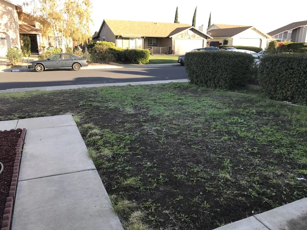 Local landscape installation with custom design in Pittsburg, CA by Aeratorman