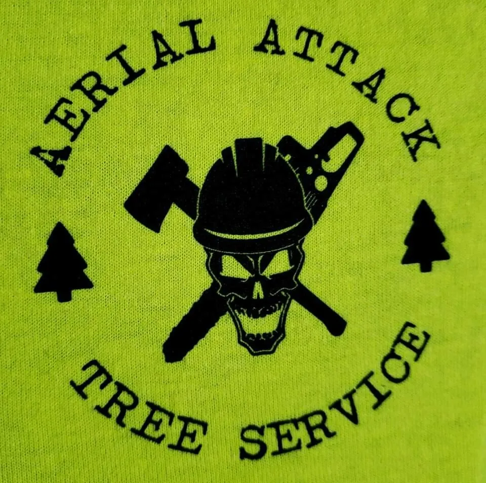 Professional yard cleanup service experts serving Pottsville, PA - Aerial Attack Tree Service
