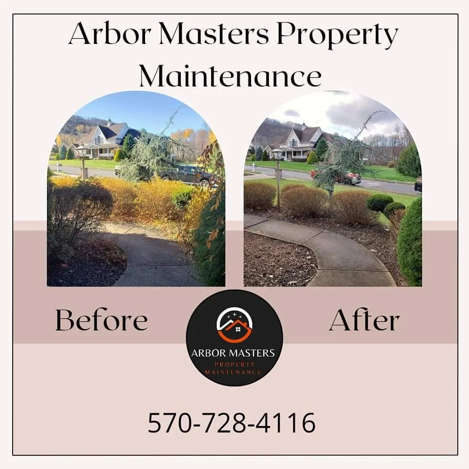 Trusted residential landscaping in Pottsville, PA by Aerial Attack Tree Service
