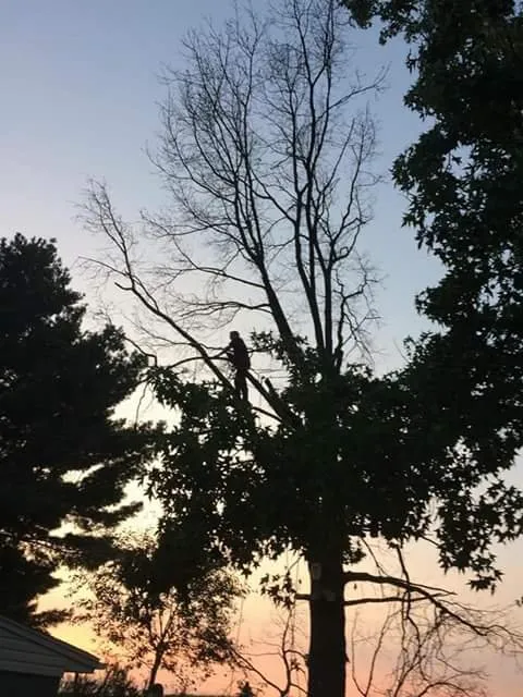 Reliable lawn care service in Wheeling, WV by Aerial Precision