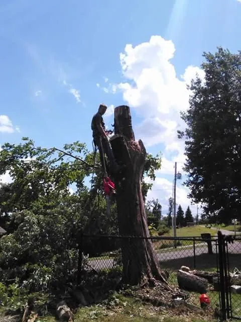 Local lawn mowing service for year-round maintenance across Wheeling, WV - Aerial Precision