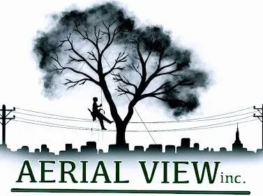 Affordable landscaping services for year-round maintenance in Bay City, MI by Aerial View