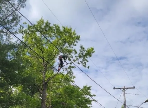 Reliable landscape installation with custom design across Bay City, MI - Aerial View