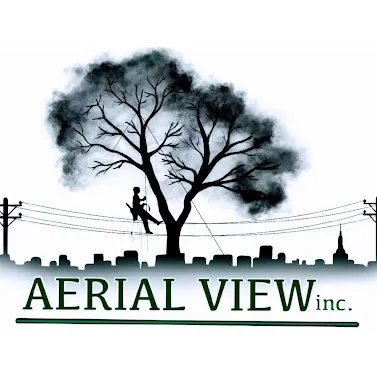 Reliable lawn care service for residential properties in Bay City, MI by Aerial View