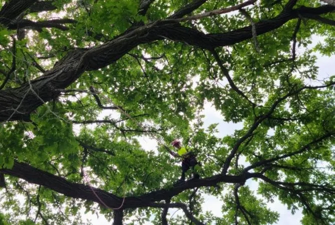 Expert yard maintenance for outdoor upgrades across Bay City, MI - Aerial View