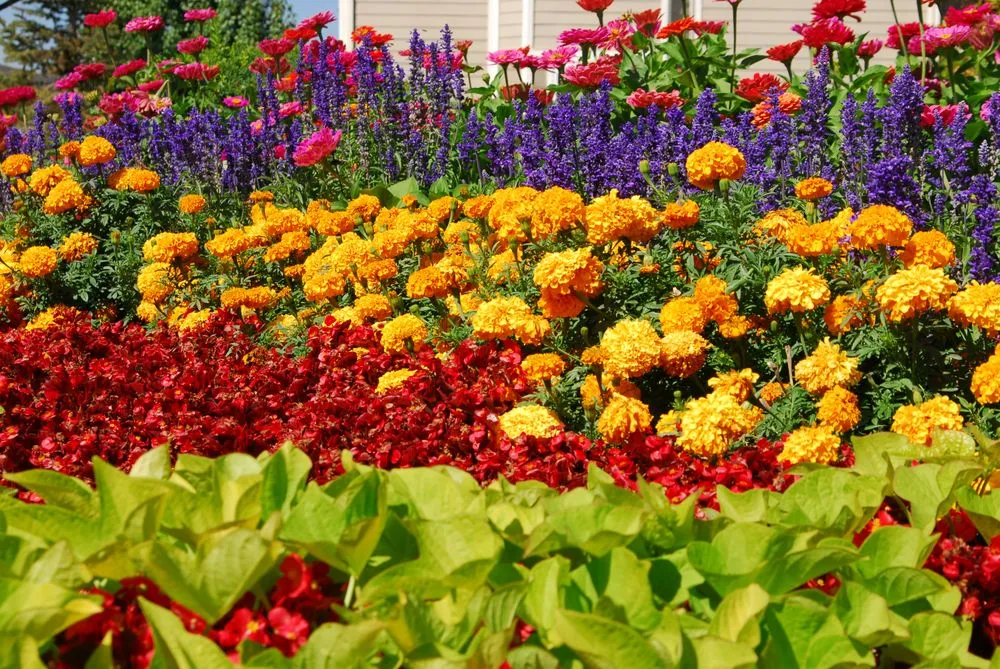 Custom lawn mowing service experts serving Midvale, UT - Aeroscape Property Maintenance and Landscaping