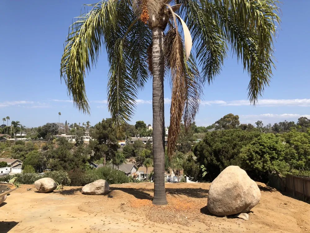 Expert landscaping services for year-round maintenance in Hemet, CA by AES Got Rocks