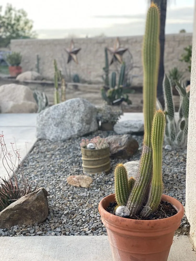 Trusted lawn mowing service for outdoor upgrades across Hemet, CA - AES Got Rocks