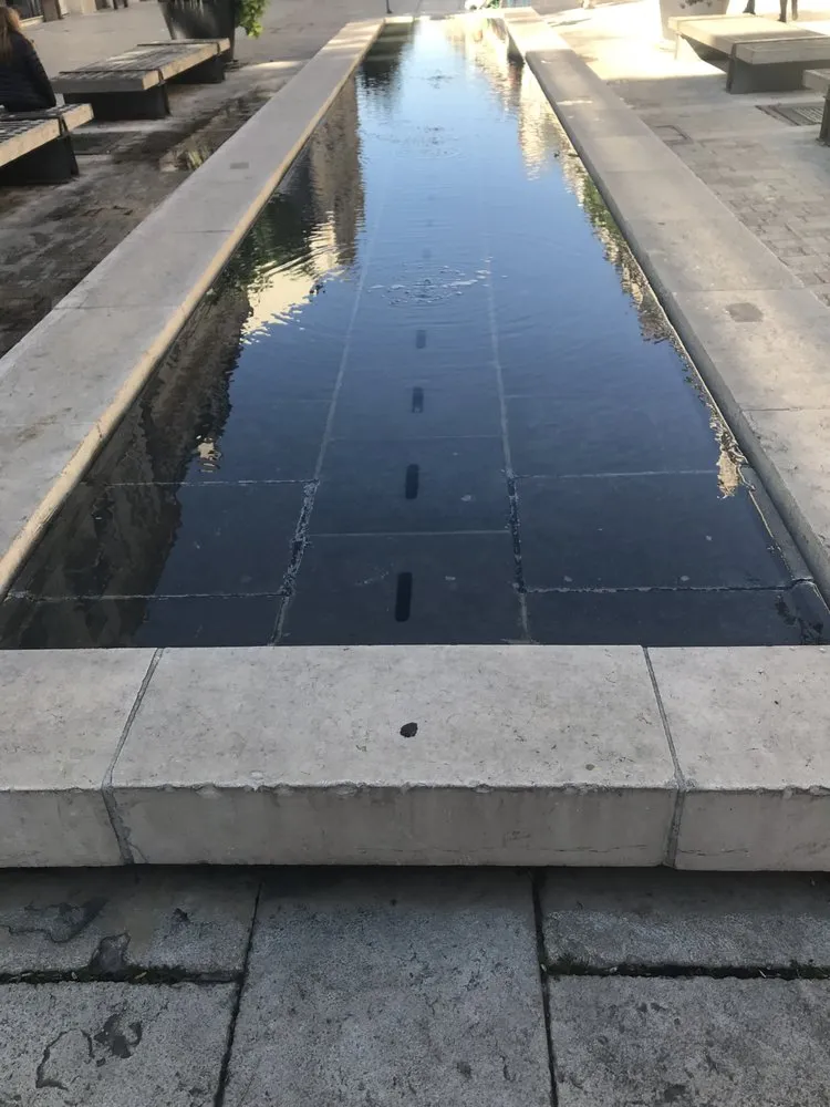 Trusted yard maintenance in Carmel, CA by AES Landscaping Inc & Masonry