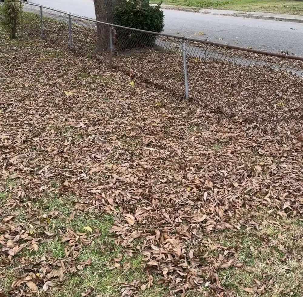 Custom residential landscaping experts serving Hampton, VA - Ae's Seeding Life