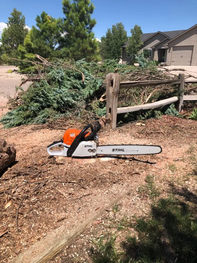 Local landscape installation for year-round maintenance across Cañon City, CO - Aesthetic Escapes Landscaping