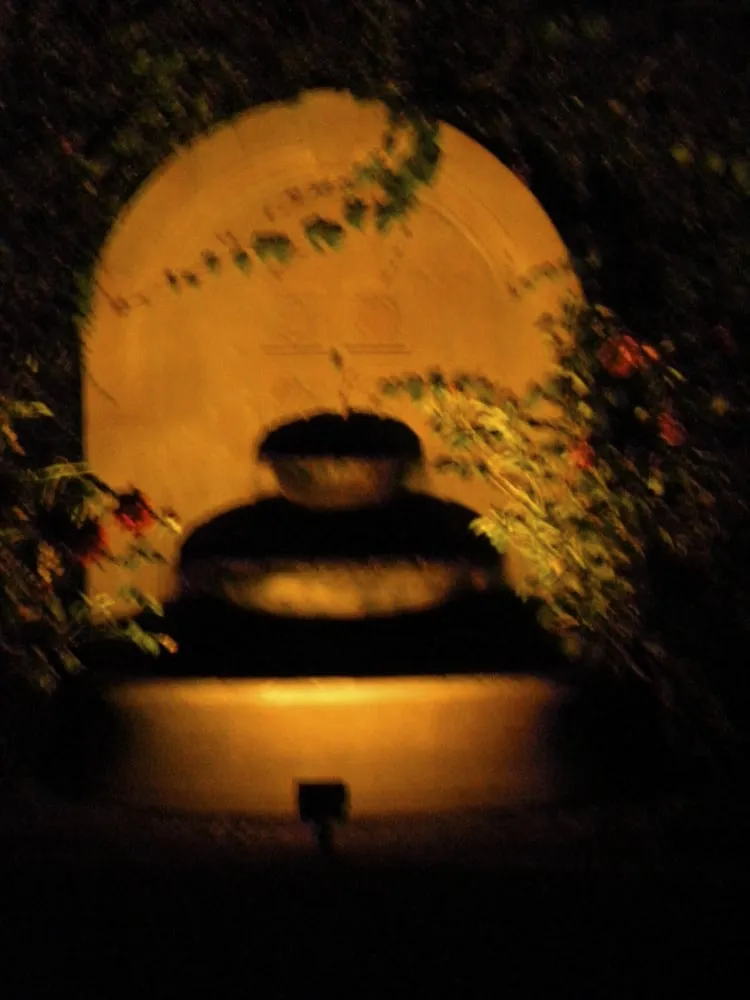 Expert landscaping services in Mountain View, CA by Aesthetic Gardens