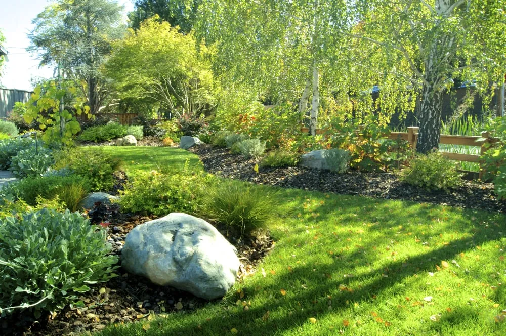 Top-rated lawn care service for beautiful yards across Mountain View, CA - Aesthetic Gardens