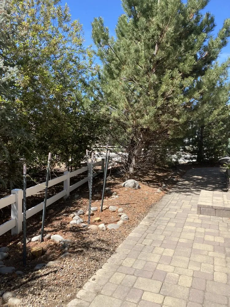 Top-rated lawn care service in Carson City, NV by Aesthetic Landscaping